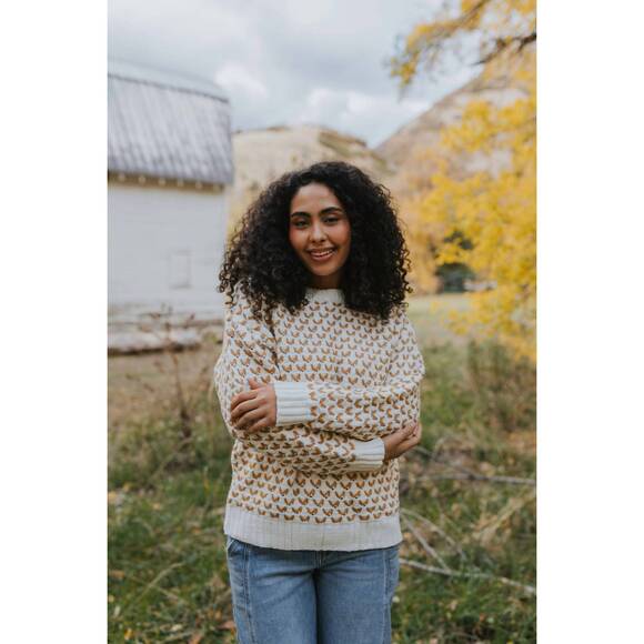 POLYGRAM Sweaters - NEW POLYGRAM brett sweater top in cream
